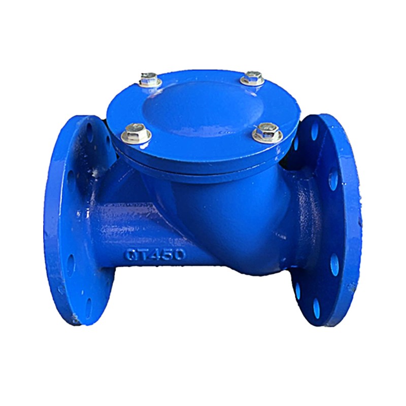 球型止回阀HQ41X-16球形止回阀1A00球磨铸铁法兰污水单向阀DN50 8