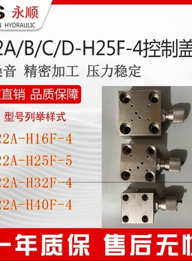 F22B-H25F调压溢流压力阀两通逻辑伐油液压打包机滑芯插件F21盖板