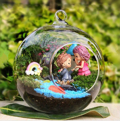 极速Clear Flower Hanging Ball Vase Planter TePrrarium Contai