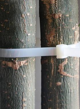 极速线束集线g塑料扎带绑带自锁式尼龙卡带固定座束带捆扎新款电