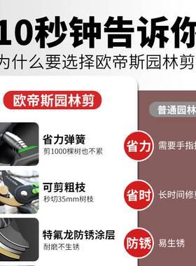 极速德国进口sk5m园林修枝剪刀果树专用修树枝剪花卉花剪园艺剪刀