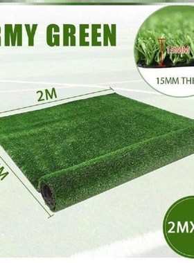 极速Artificial Grass Turf 2x5m IndEoor Outdoor Balcony Garde