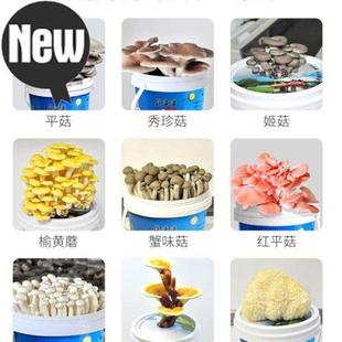 极速新园艺圆柱形口蘑圆形多层包B盘工具四季菌菇种植包室内e小菌