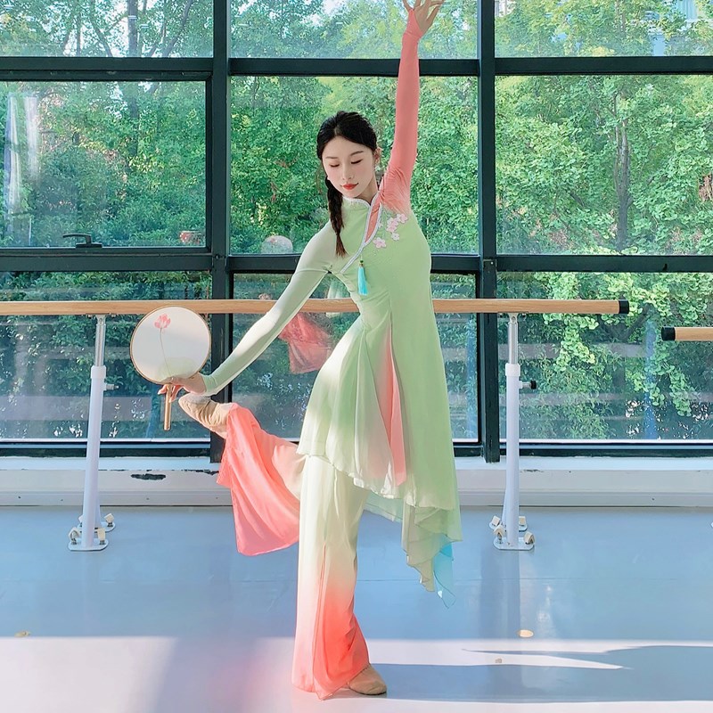新古典舞蹈演出服荷花q奖淡妆浓抹总相宜同款舞蹈服中国舞女子群