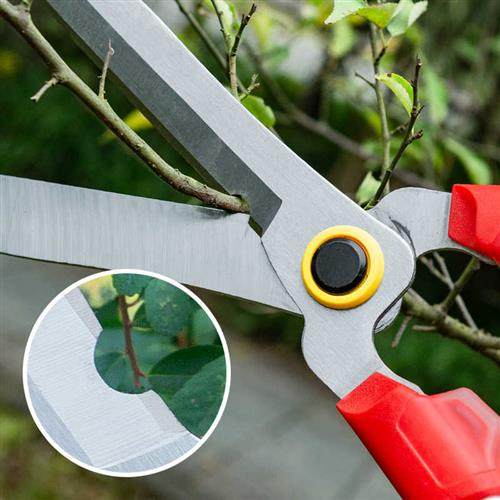 极速修剪树枝剪刀花剪园艺剪刀修A枝剪草坪绿篱剪园林工具剪花草,鲜花速递/花卉仿真/绿植园艺,剪刀,淘宝优惠券,粉丝福利购,淘宝优惠卷