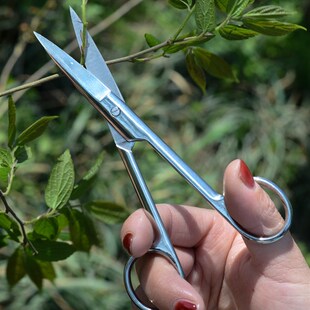 极速盆景修剪小剪刀造型制作专用工具修根修枝条多T肉砍头不锈钢