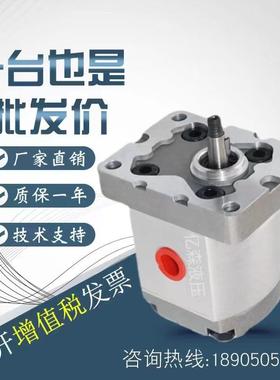 上海大众SDH齿轮泵CBD2-F201.3/202.7/203.4/204.1/205.1/206.1