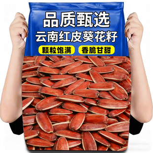 新货云南红皮瓜子散装甜糯水果葵花籽向原味休闲食品批发坚果生的