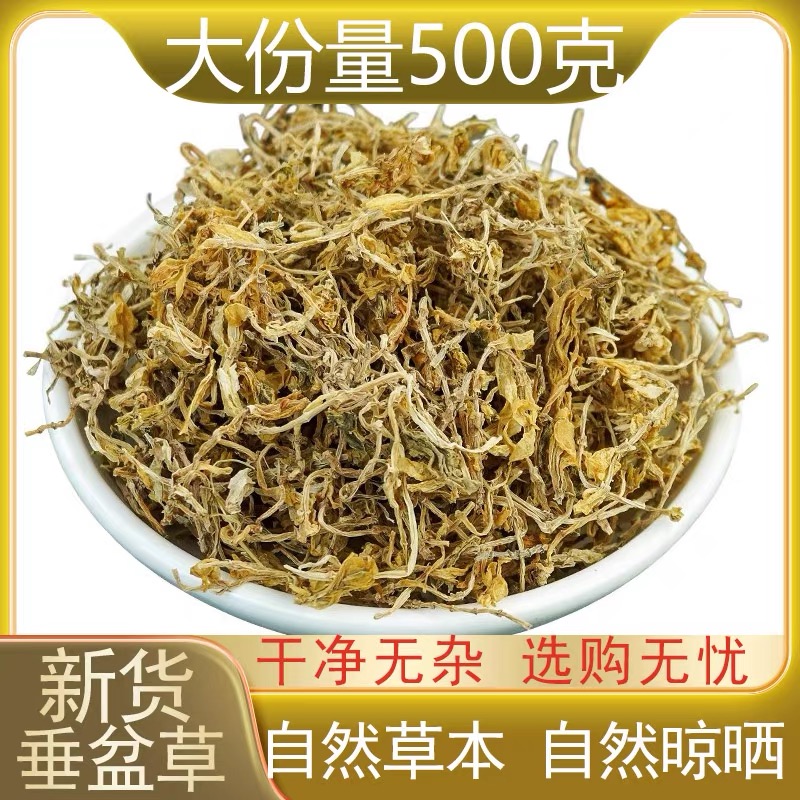垂盆草中药材500g干货泡茶正宗野药生用食用垂盆草干垂盆草泡水喝