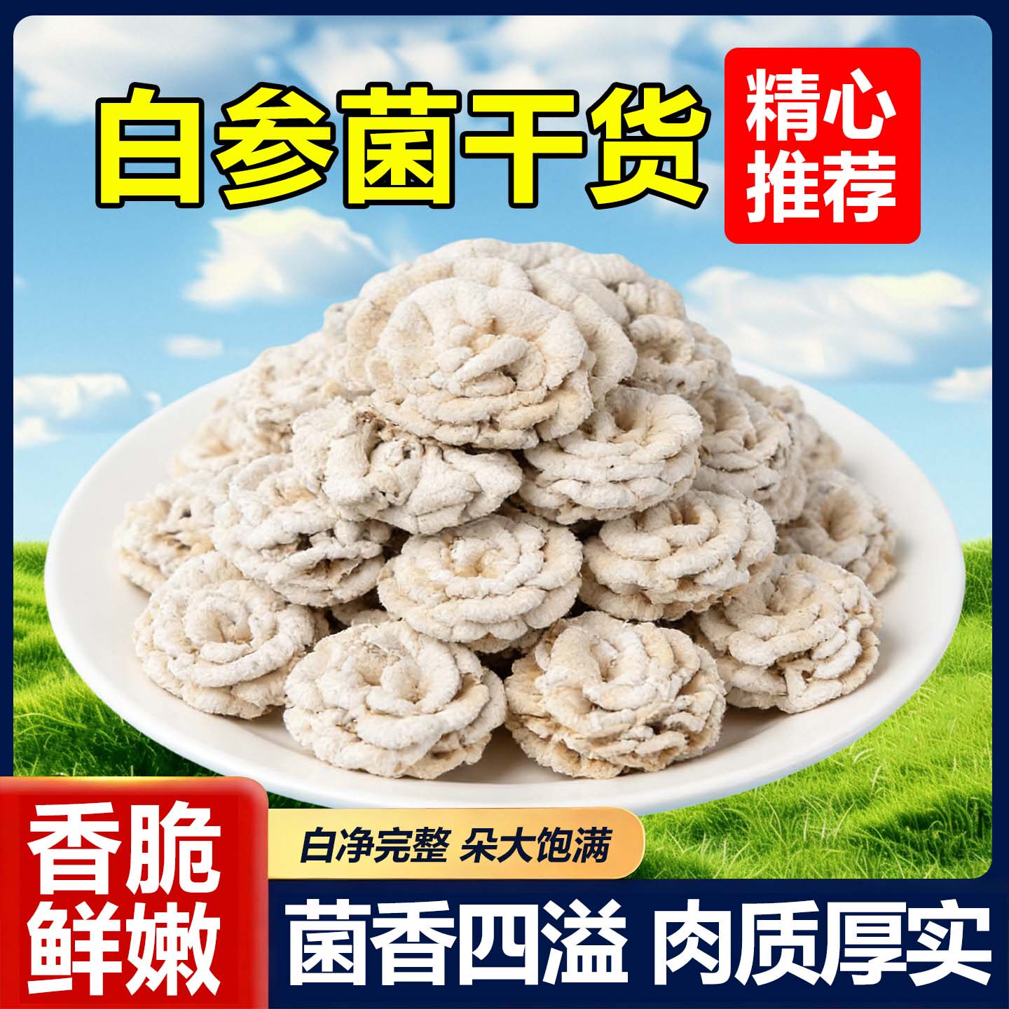 云南特产白参菌干货鸡冠菌裂褶菌白花白参沙参树花云南非野生菌