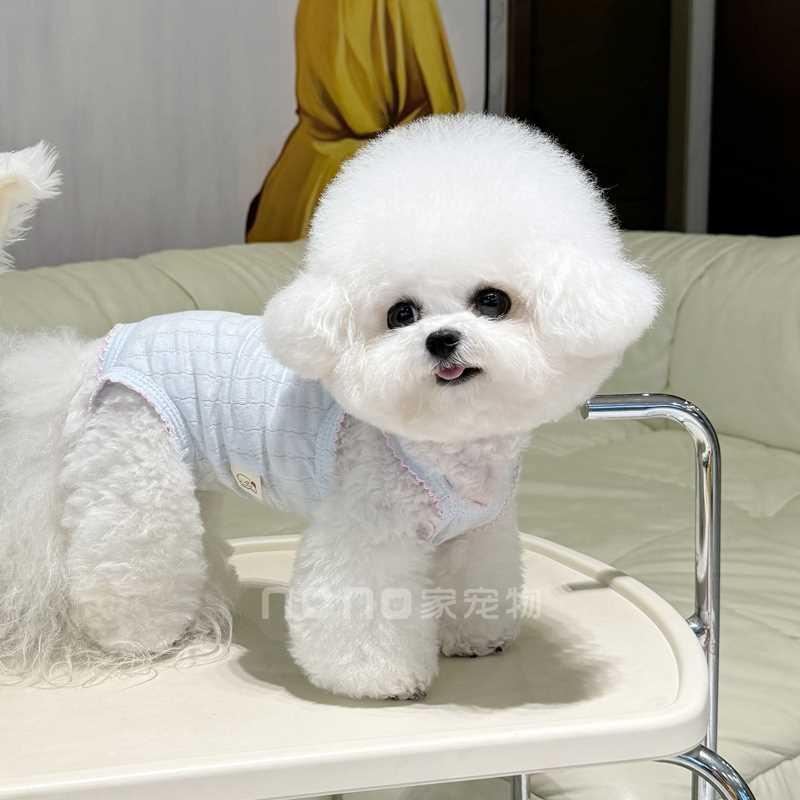 狗狗衣服夏季薄款婴儿棉包肚衣宠物比熊泰迪猫咪手术护肚空调服