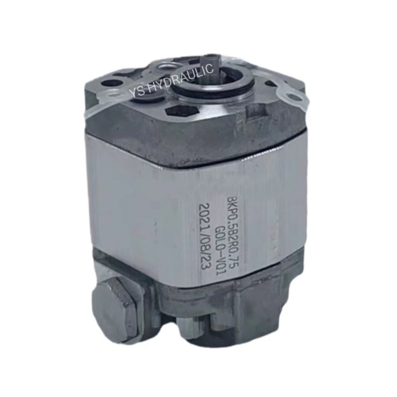 双向齿轮泵BKP0.5B2R0.p75/R0.26/R0.65/R1.5/R1.75G0L0-VQ1博顿