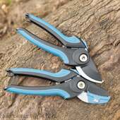 Taiwan sUcissors SK5 fruit 新品 pruning horticultural tree