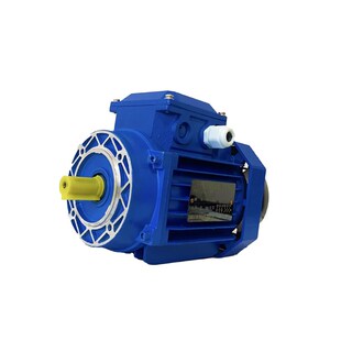 型号齐全0.25 B14 0.75KW YS系列铝壳三相j电机B3