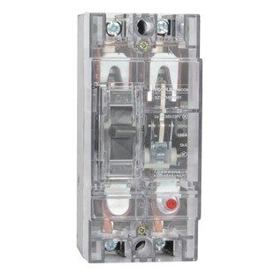 人民电器DZ15断路器空气开关短路过载保护塑壳2901 63A.2P透明款