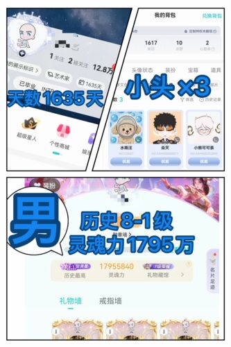 Soul历史8-1级男  秒换绑
