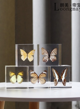 植物标本蒲公英树脂铂q晶透明摆件客厅书房现代轻奢设Z计师装饰品