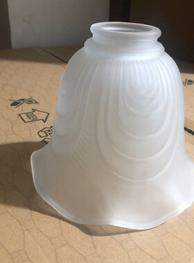 极速吊道花朵玻璃灯罩e27ryw螺口过灯壁灯台灯外顶餐厅吸壳灯具配