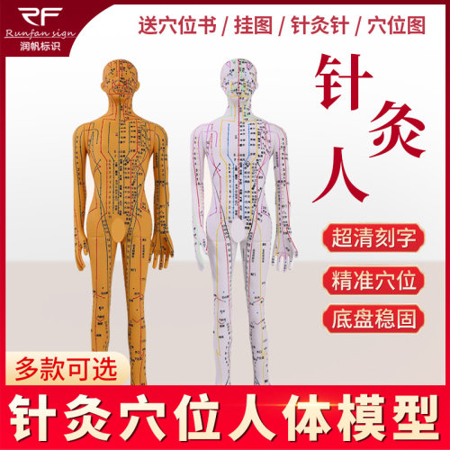 中医针灸穴位人体模型可扎针经络全身大图小铜人模特真人W十二人