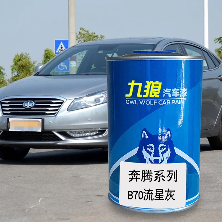 九狼汽车漆奔成品腾改色漆全车B50漆E流星灰云层银北极白极夜黑B7