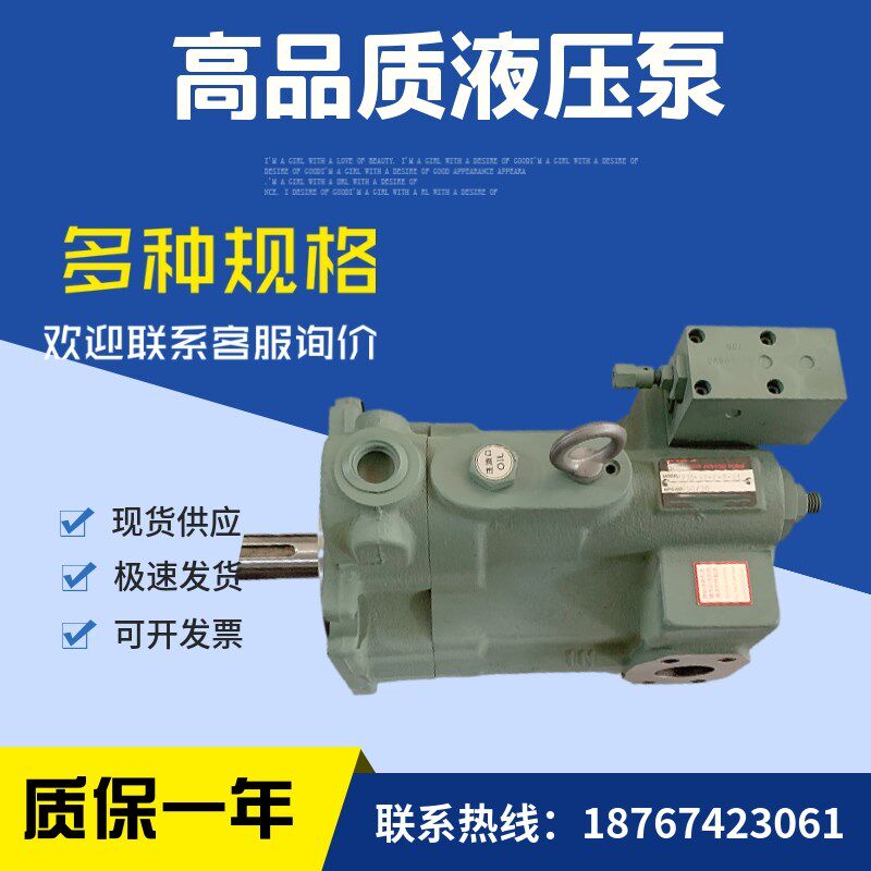 电动油泵配件P22-C1-A3-F-R-01柱塞泵P22-C0 2-A2-F.-R-01