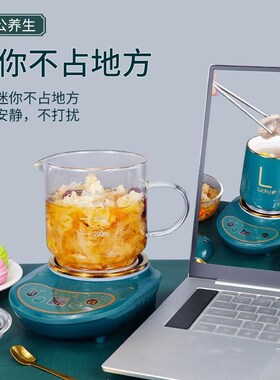 多功能养生壶fmini小型花茶壶办公室玻璃煮茶器电热水杯礼盒套装