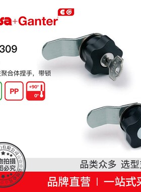Elesa+Gantner伊莉莎冈特 VC.309 闩锁 捏手 带锁