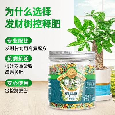 发财树肥料专用肥家用绿萝幸福树平安树控释肥绿植盆栽植物通用型