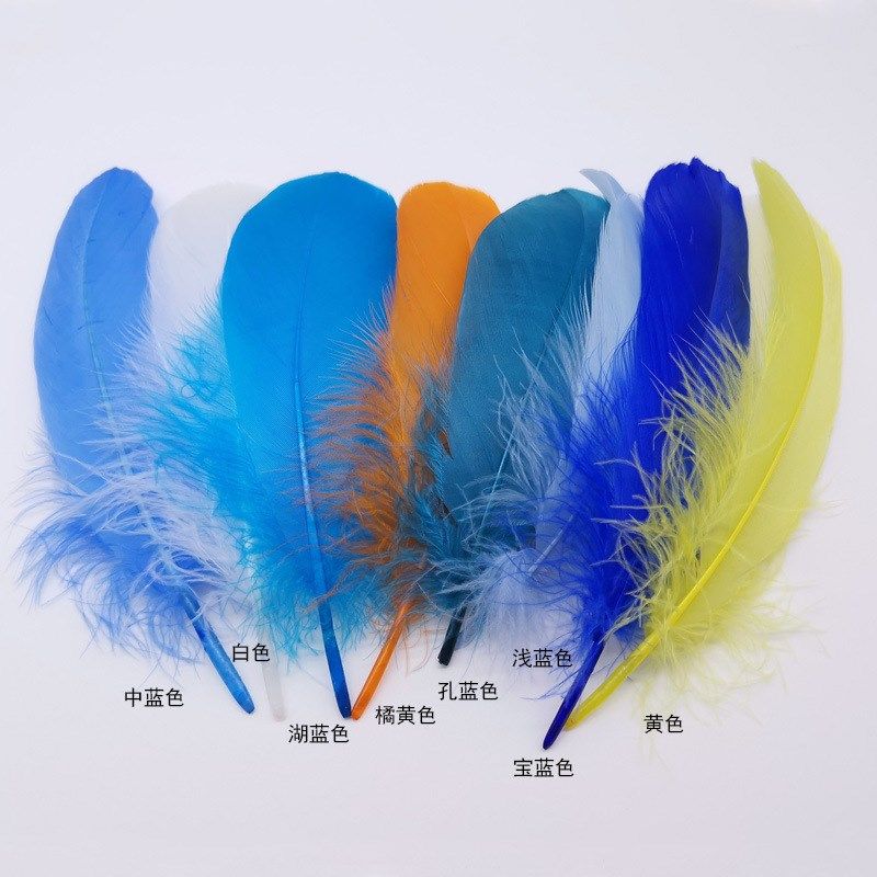 天然羽毛鹅毛硬飘毛大飘工艺品饰品玄关过道客厅背景墙装饰画配件