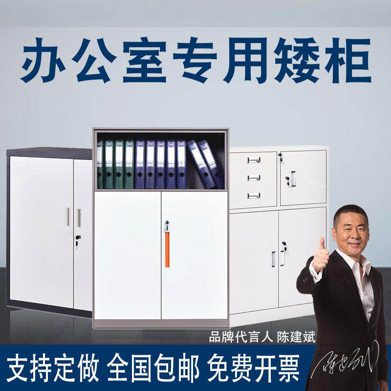 中伟ZHONGWEI办公室矮柜钢制文件柜铁皮柜小柜子储物柜办公资料柜