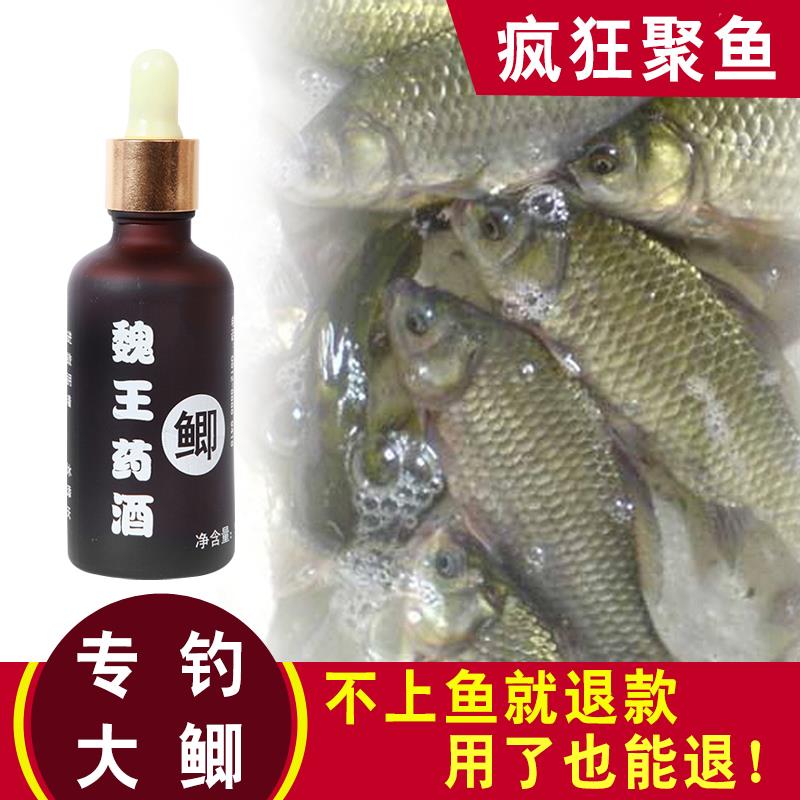 四季专攻鲫鱼钓鱼小药阿魏药酒野钓开口诱鱼饵料小箹中药酒添加剂