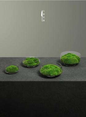 天青苔绿 新中式永生苔藓微景观 茶室装饰茶盘室内造景桌面摆件