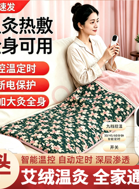 艾灸加热毯子电加热艾草床垫全身通用褥子家用秋冬温灸养生