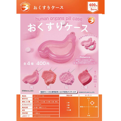 预订4正版BRIGHTLINK内