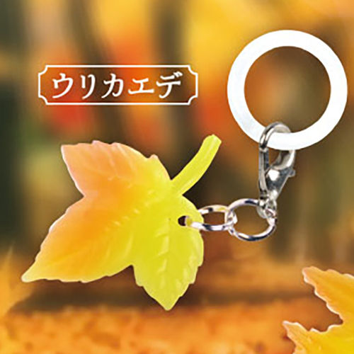 预购扭蛋季节变色枫叶标