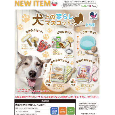 预购7正版J.DREAM微缩