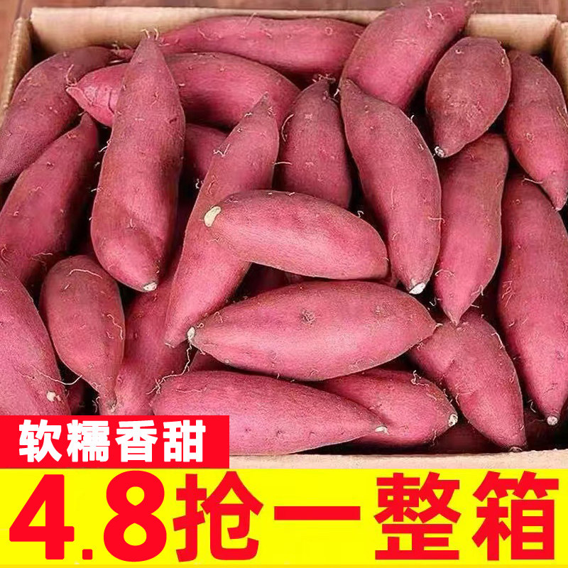 红薯新鲜沙地蜜薯新鲜板栗