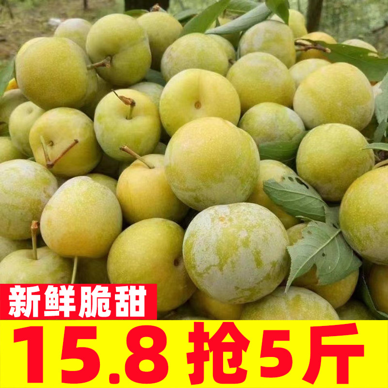 四川茵红李脱骨李子新鲜青红脆甜李空心脆红李半边红五月脆凤凰李