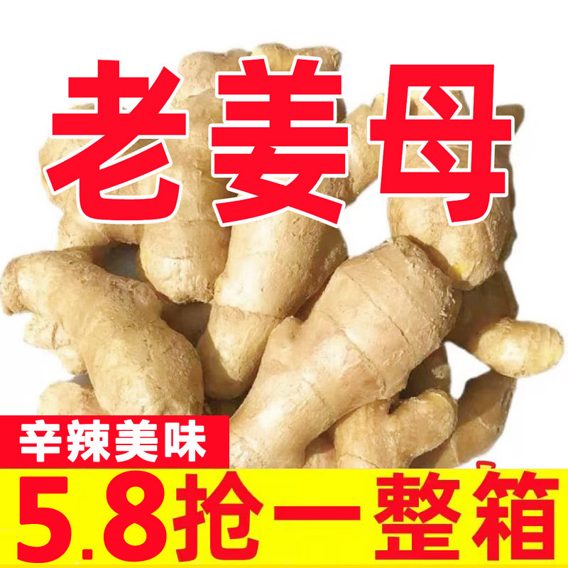 山东10斤老姜生姜姜块干姜