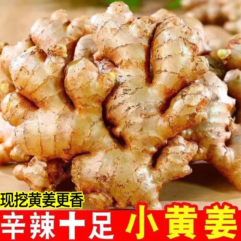 云南小黄姜老姜生姜新鲜黄姜