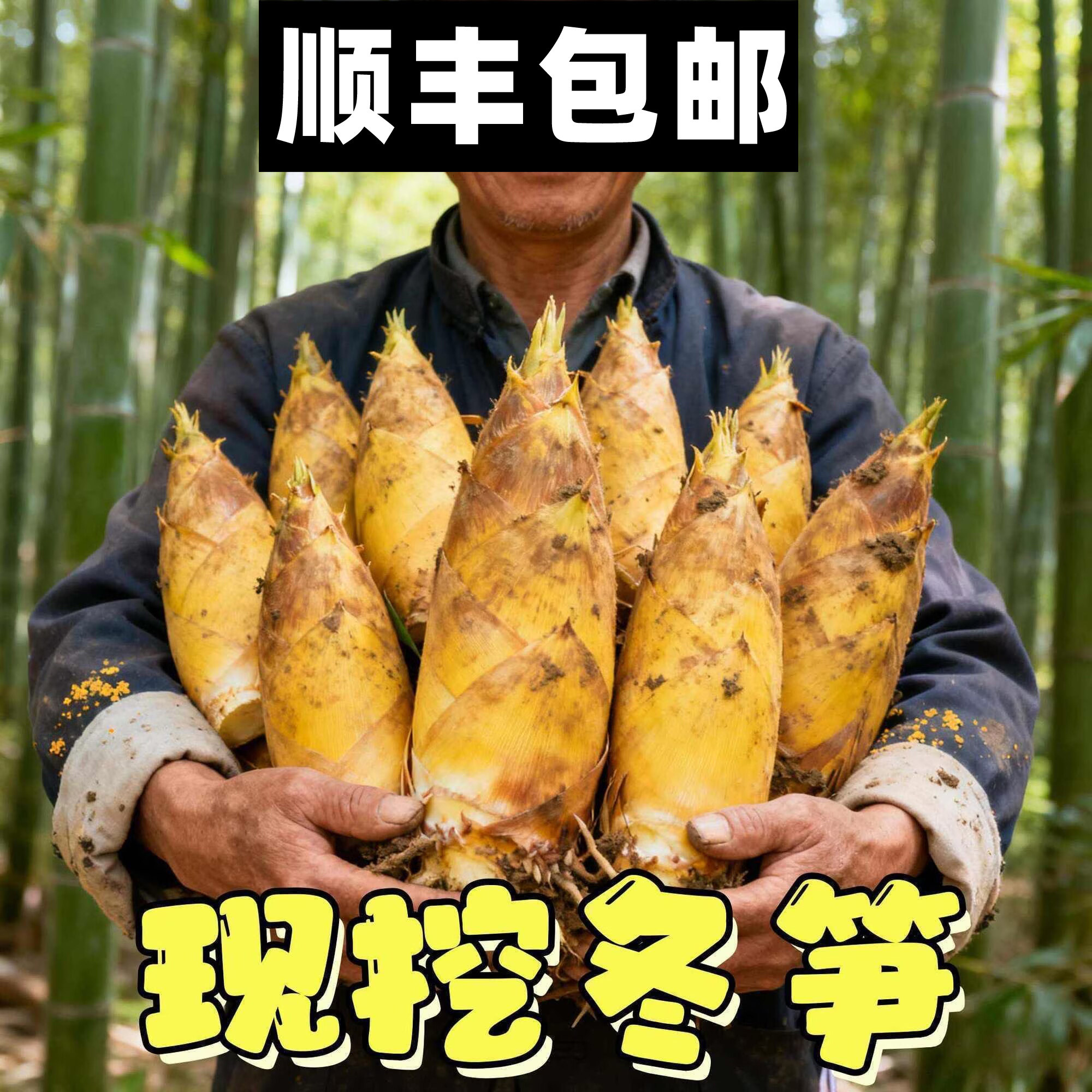 顺丰野生新鲜冬笋现挖现发5斤赣州毛竹笋楠竹笋天然黄泥笋雷笋