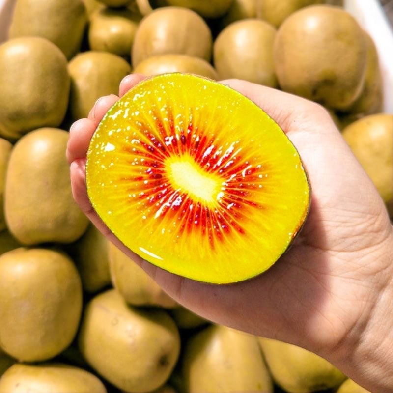 四川红心猕猴桃奇异果