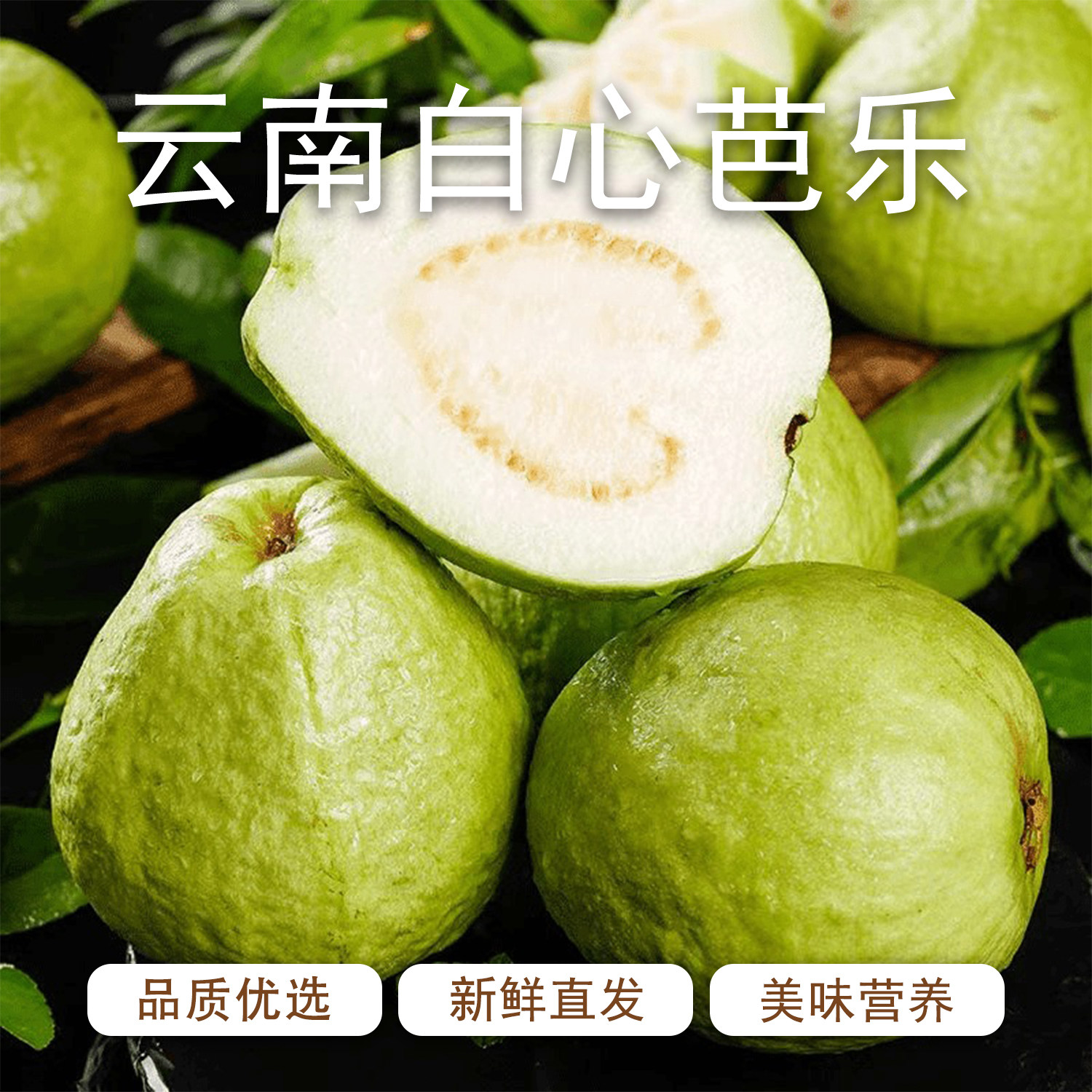 云南红河蒙自白心芭乐番石榴孕妇水果当季新鲜采摘清甜