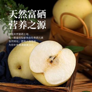 顺丰石家庄富硒皇冠梨脆甜多汁细嫩少渣绿色食品健康高档水果果泥
