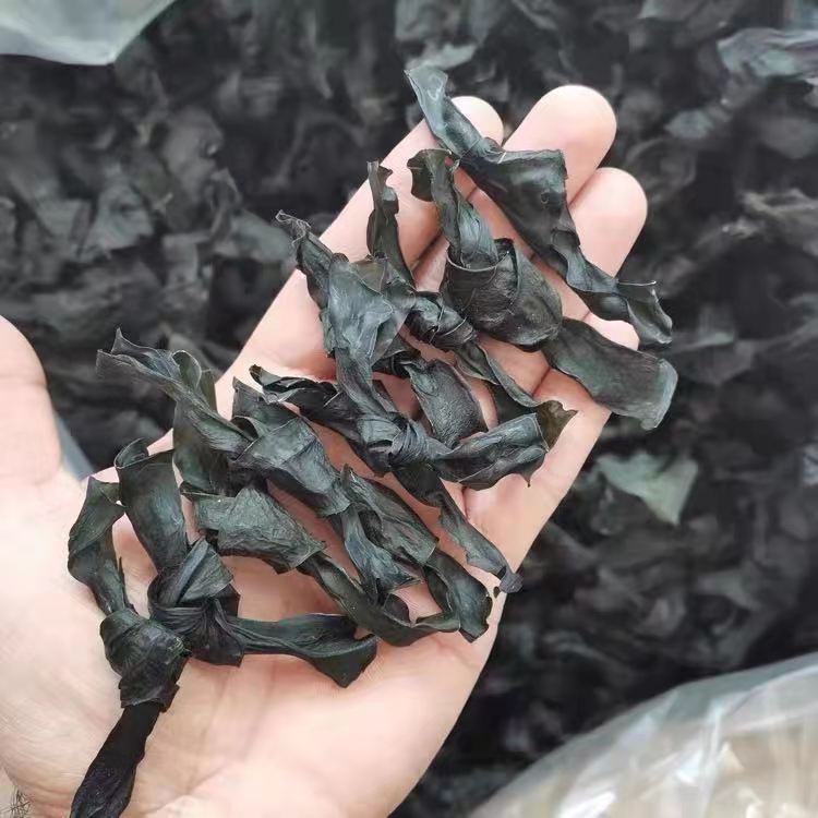 顶极无盐海带结干500g 无沙免洗特级火锅麻辣烫天然厚扣福建干货