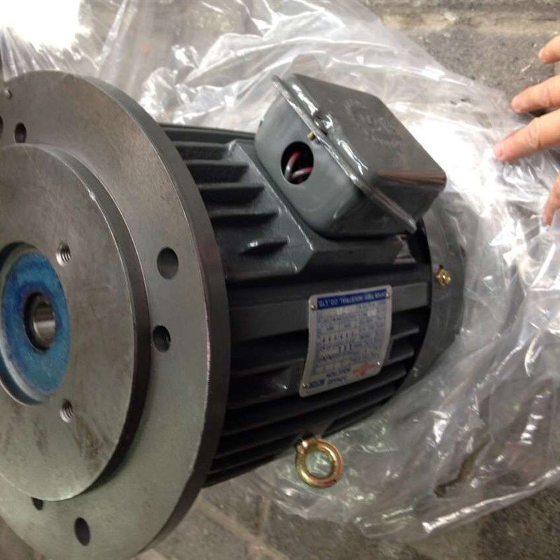 油研新款上市江苏省包邮派p克泵液压油泵专用电机PV2R1TOPVP20VP4