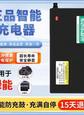 适用绿能电动车电瓶充电器48V20AH60VP30AH72V新国标
