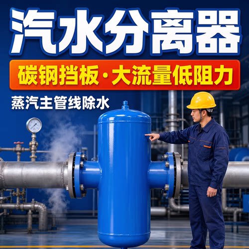 锅炉蒸汽房专用除水汽水分离器