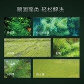 速发百因美除藻剂去苔净水剂除z褐绿藻青苔剂清硝化细菌除苔剂稳