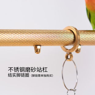 极速金色挂式站架 不锈钢鹦鹉站架C 鸟笼鸟N架子折衷玄凤灰鹦鹉架